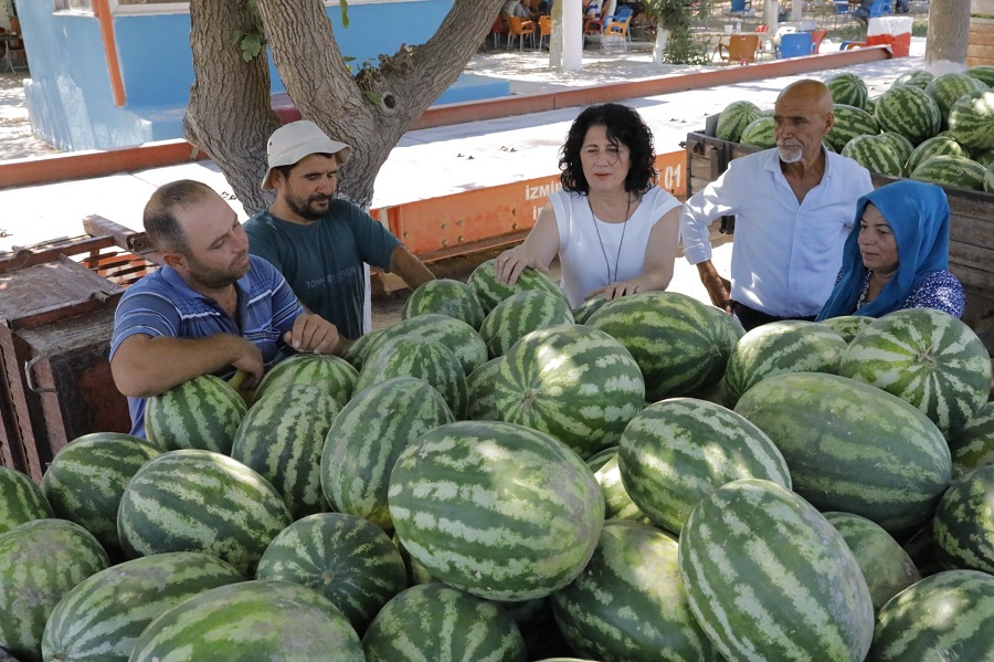 Ürünler Tarlada Kalmadı, Vatandaşlara Dağıtıldı